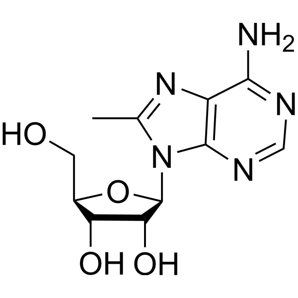 8-Methyladenosine 56973-12-7